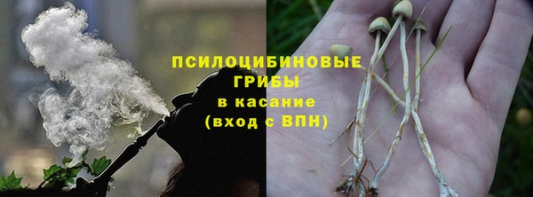 Альфа ПВП Абаза