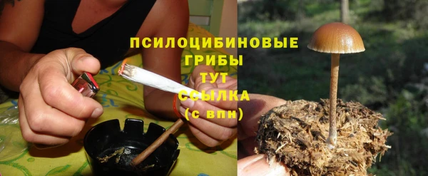 твердый Алексеевка