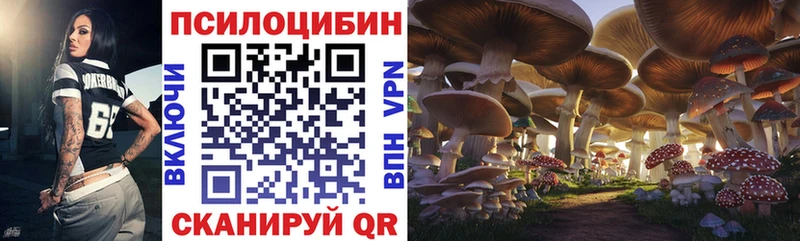 блэк спрут   Мостовской  Псилоцибиновые грибы прущие грибы 
